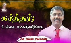 Audio & Video